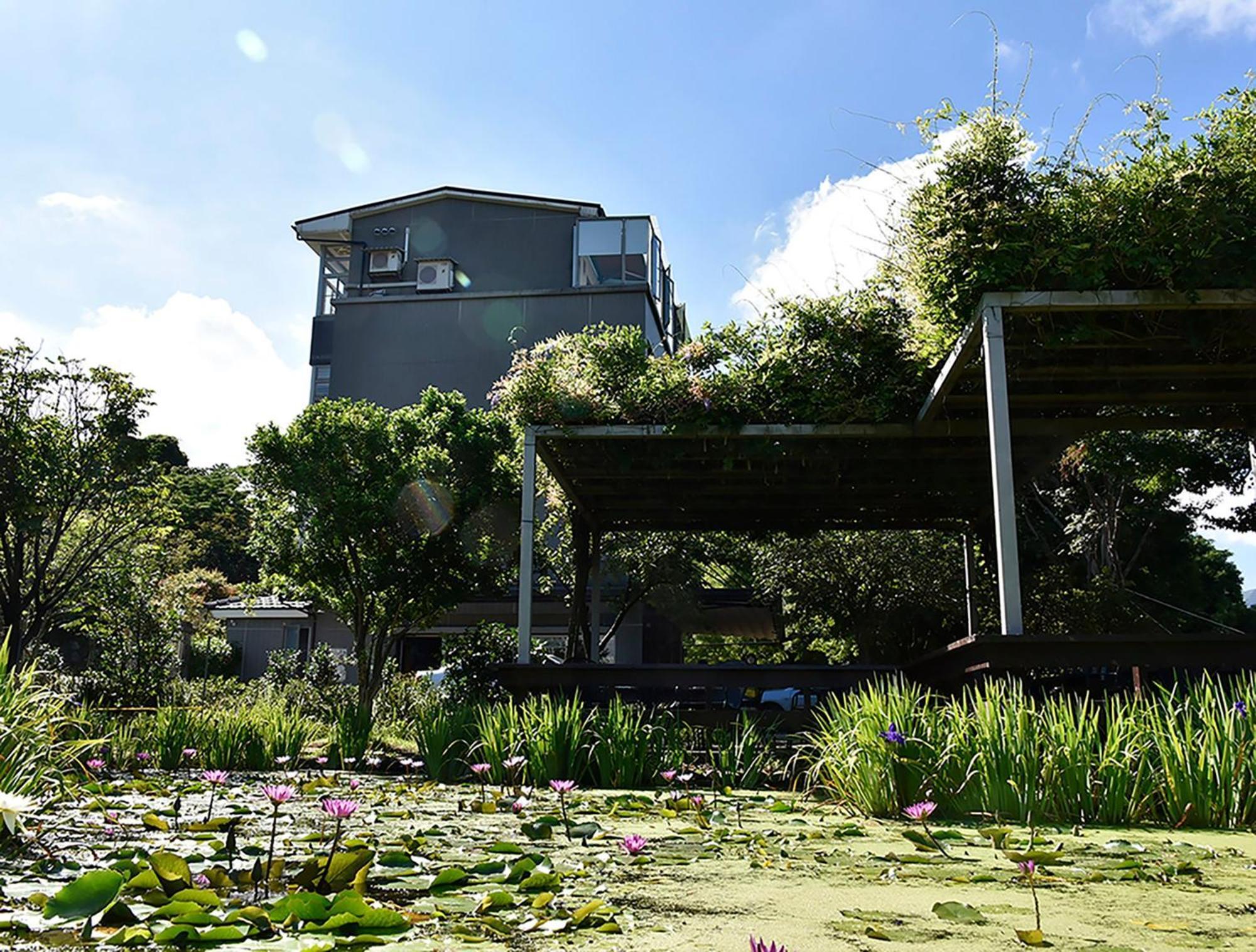 Rainbow Bridge B&B Sanzhi Exteriér fotografie